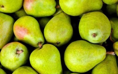 Названі корисні властивості груш у боротьбі проти старіння