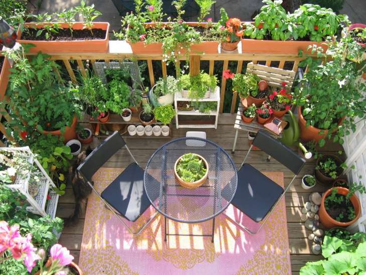 Как обустроить мини-сад на балконе