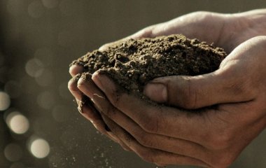 «Розпушує» землю миттю: більше не будете брати до рук лопату і копати грядки