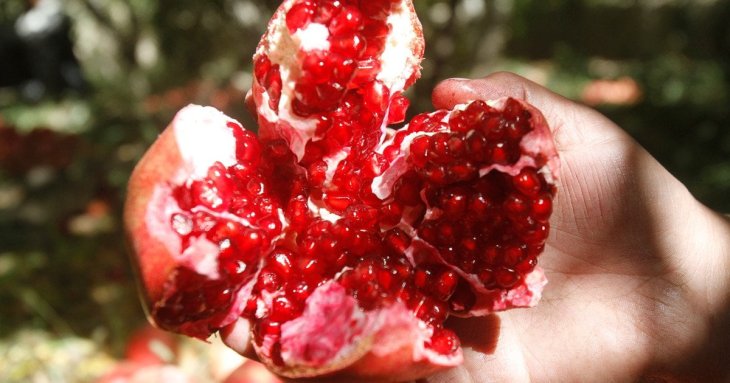Названо 11 продуктів із потужною антиоксидантною дією: що варто додати до раціону