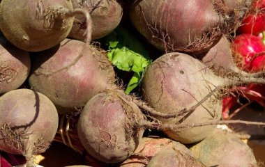 Як зберігати буряк до весни: незвичайний, але перевірений роками спосіб