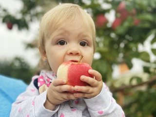 Как правильно знакомить ребенка с аллергенами: 7 советов, которые сохранят здоровье