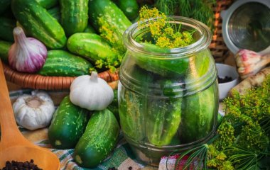 Малосольные огурцы в банке: универсальный рецепт за 3 часа и на зиму