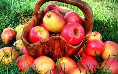 Яблоки для здоровья и красоты