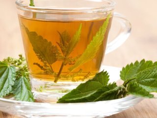 Чай із листя цієї рослини допомагає швидко знизити високий тиск: вона точно є на вашому городі