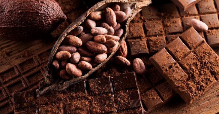 Продлевает жизнь: ученые рассказали о пользе какао