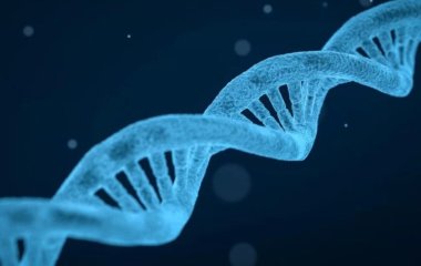 На майбутнє потомства впливає спосіб життя