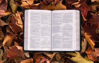 14 вересня — яке церковне свято, що не можна робити цього дня, щоб не було проблем в родині