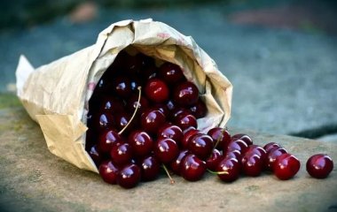 Цілюща вишня: як за допомогою гілочок і ягід вилікувати печінку, нирки, перемогти артрит