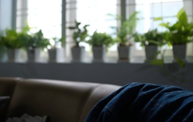Шість місць у квартирі, де ваші рослини приречені на загибель: не ставте туди вазони