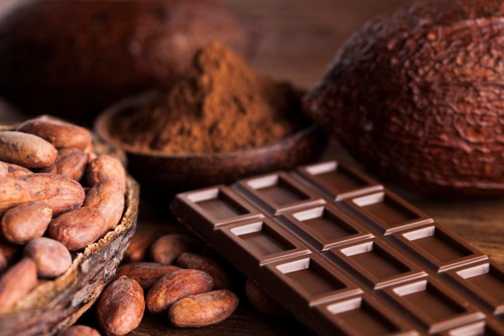 Темний шоколад уповільнює старіння: дані вчених із Гарварду