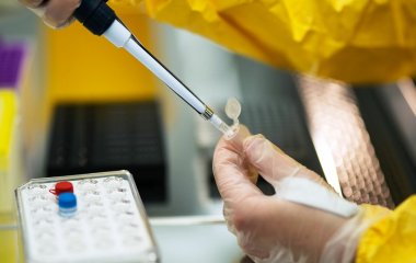 Дослідники виявили омолоджуючі властивості сибірської ялиці