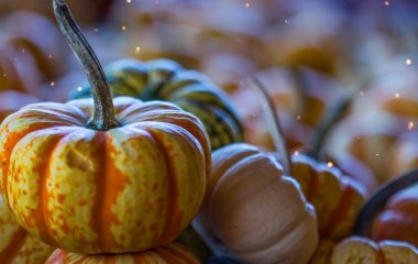 Как сделать из тыквы первое, второе и десерт