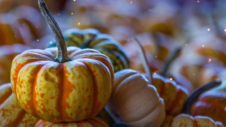 Как сделать из тыквы первое, второе и десерт