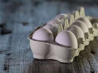 Ученые сообщили об опасности ежедневного употребления яиц