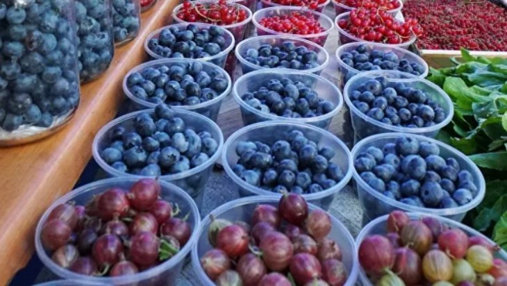 Лікарі назвали продукти, які допоможуть імунітету подолати віруси