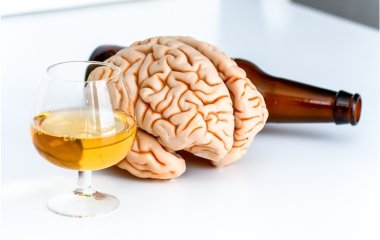 Вчені пояснили руйнівний вплив алкоголю на мозок