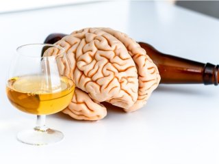 Вчені пояснили руйнівний вплив алкоголю на мозок