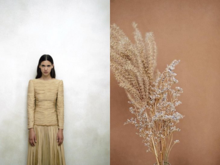 Что такое икигаи: японские секреты долгой и счастливой жизни