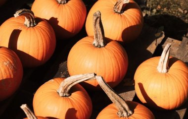 Додайте їх до раціону: 6 осінніх продуктів, які можуть допомогти зменшити запалення
