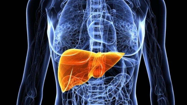 Медики назвали ознаки надлишку токсинів у печінці