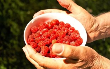 5 продуктів, які допомагають швидко впоратися з набряками