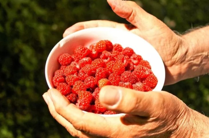 5 продуктів, які допомагають швидко впоратися з набряками