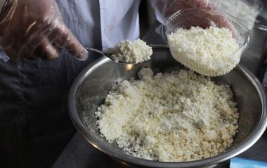 Дієтолог назвала оптимальну для засвоєння кальцію жирність сиру