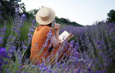 Что читать на кромке лета