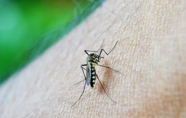 У яких випадках кошти від комарів можуть бути дуже небезпечними
