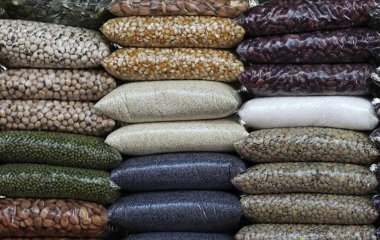 Лікарка назвала корисний продукт для профілактики артриту