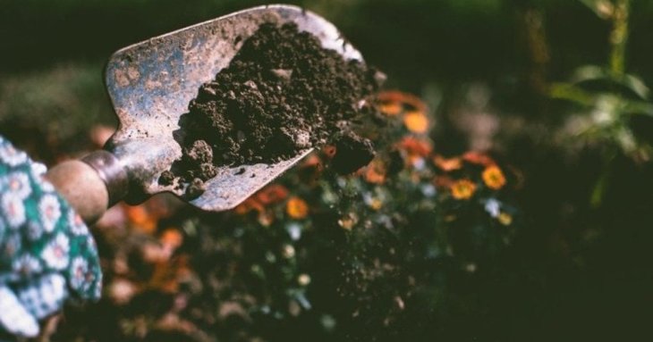 Чому не можна взимку посипати город крупою: які можуть бути наслідки