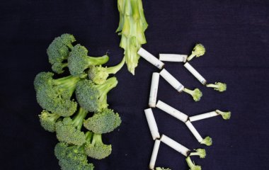 Медики назвали продукты, которые защищают легкие курильщиков