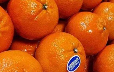 Чим потрібно залити мандаринові шкірки, щоб вийшов найкращий засіб для чищення та прибирання