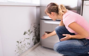 Как избавиться от плесени