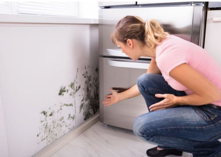 Как избавиться от плесени