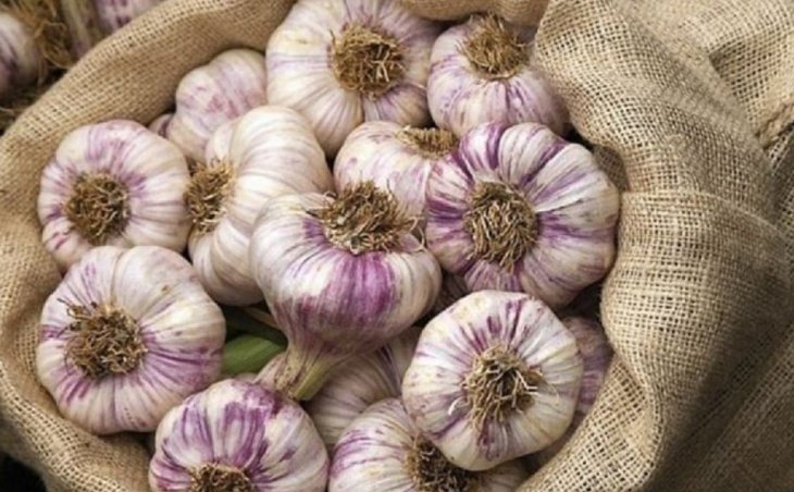 Почему нужно есть чеснок каждый день: польза и вред продукта