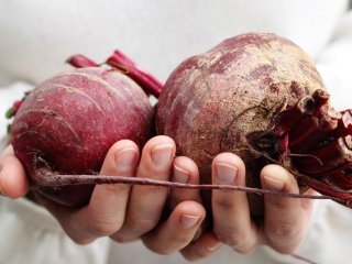 Медики розповіли, чим корисний звичайний буряк для організму