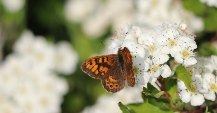 День ангела 25 квітня: кого та як вітати з іменинами