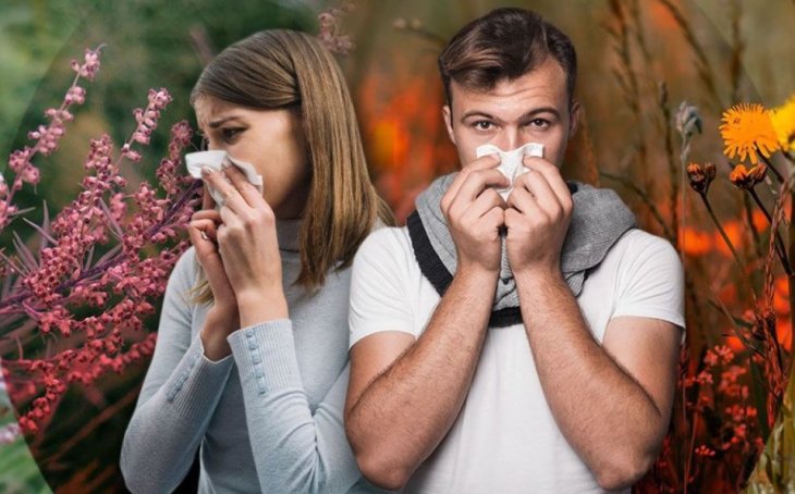 10 советов, облегчающих жизнь с аллергией: детали