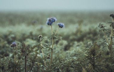 День ангела 31 жовтня: кого та як вітати з іменинами