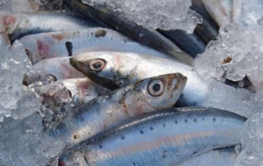 Медики назвали продукт, который полезен для сердца и щитовидной железы