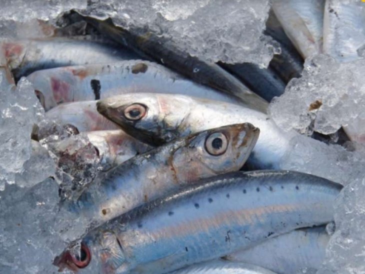 Медики назвали продукт, который полезен для сердца и щитовидной железы