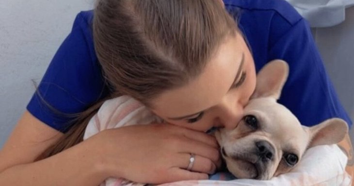 Жінка відвезла цуценя до ветеринара і тепер може сісти за ґрати: що сталося (фото)