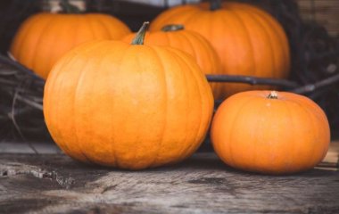 Польза и вред тыквы: кому нельзя употреблять