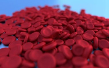 Експерт назвала нестандартний набір продуктів для підвищення гемоглобіну