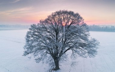 День ангела 5 лютого: кого та як вітати з іменинами