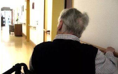 Вчені розповіли, які продукти покращують роботу мозку літніх людей