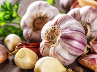 Чем полезен чеснок, помогает ли он при болезни: вся правда от Минздрава