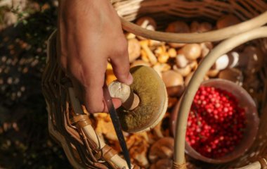 Медики назвали продукт, який має протиракову дію